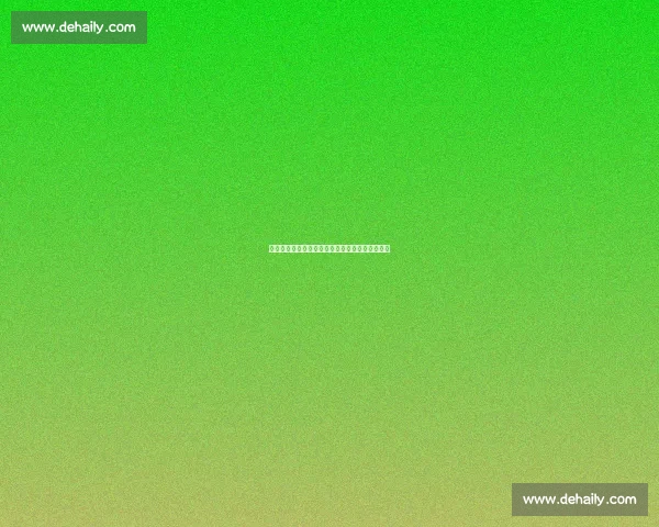 荣耀时刻！全运会冠军榜尘埃落定，国家骄傲闪耀